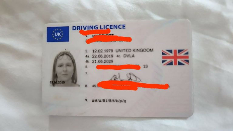 dvla check licence