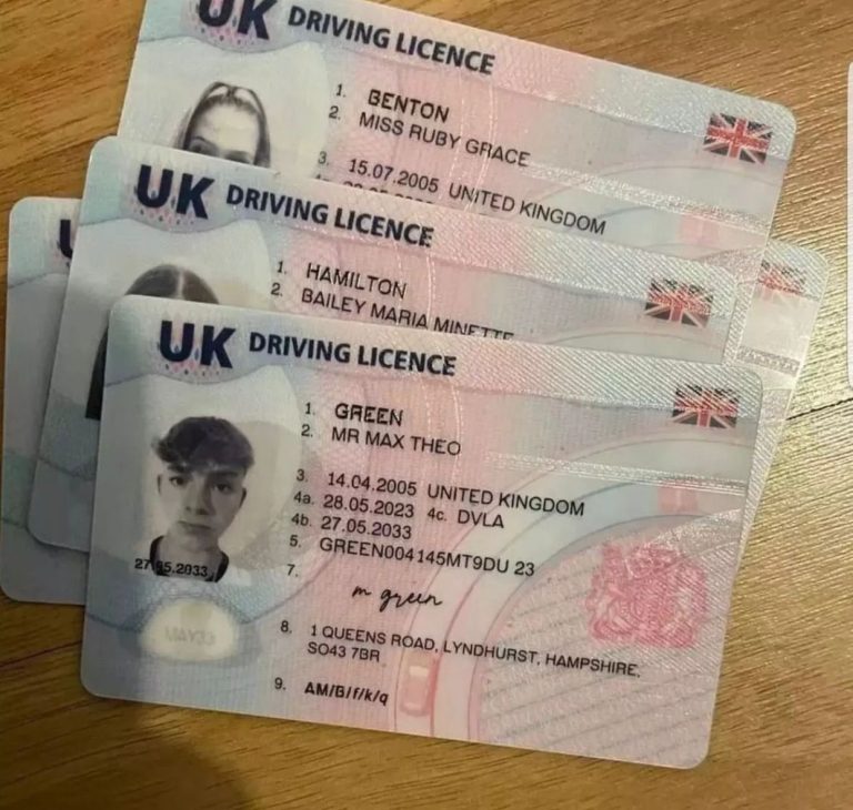 gov renew driving licence
